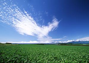 静岡県富士市に新規オープンの家族葬専門斎場「家族葬のタクセル天間」の詳細と魅力