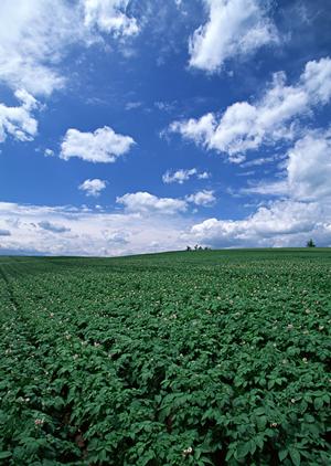 安心と信頼の葬儀場【ティア越谷】 詳細ガイドと店舗情報