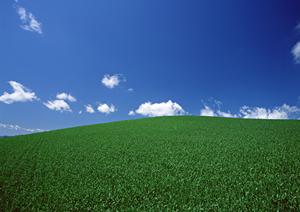 川越で頼ろう！一元管理をする葬儀会社