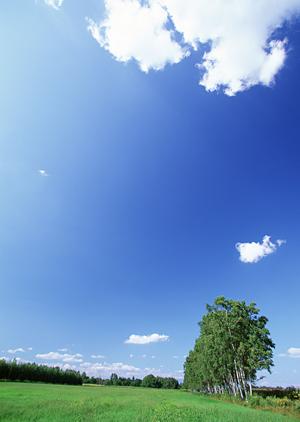 台東区にある屋内墓地で永代供養ができる