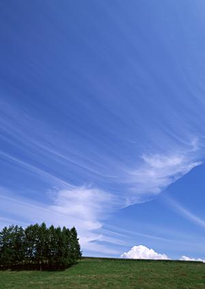 静岡市葵区に新オープン！家族葬と低価格対応の葬儀場「家族葬のタクセル沓谷」のご案内