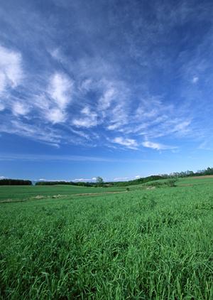 浜松市中央区高林に位置する富士葬祭 高林：安心と信頼の葬儀サービス
