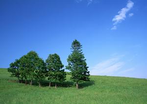 アクセスにも恵まれた永代供養墓