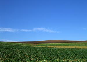 川越にある家族葬で使いたい葬儀屋
