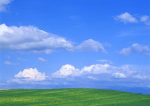 静岡市の家族葬・一日葬に対応した信頼できる葬儀場「富士葬祭 瀬名」：設備とサービスの詳細解説