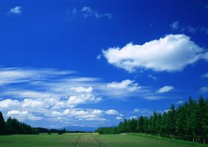 静岡市の家族葬に最適！2023年10月オープンの家族葬のタクセル丸山町について徹底解説