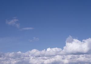 2025年最新版：東京で選ぶ浄土真宗の墓地と供養のポイント