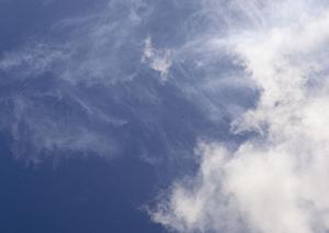 さいたま市で相談できる葬儀会社です