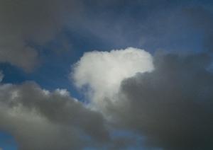 静岡市駿河区における信頼と安心の葬儀サービス：富士葬祭中村町の特徴とメリット