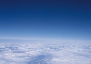 さいたまの中央メモリアルサービス